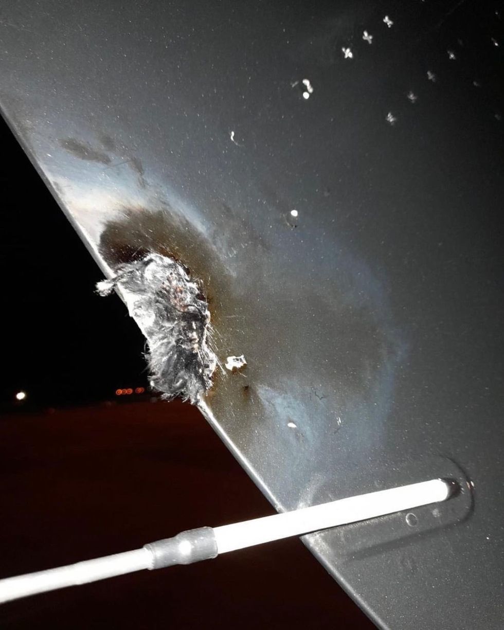 mileycyrus 276978007 132967935918533 3812925438260794397 n