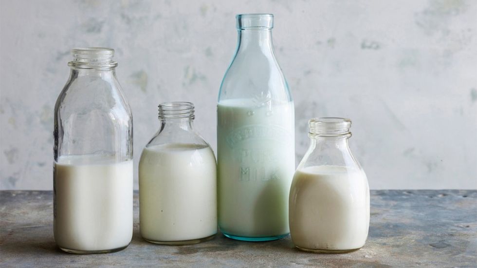milk bottle types dairy alternative header