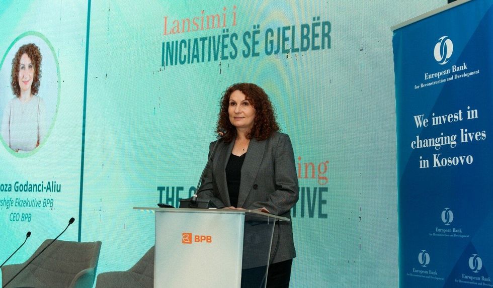 mimoza e1728023361334