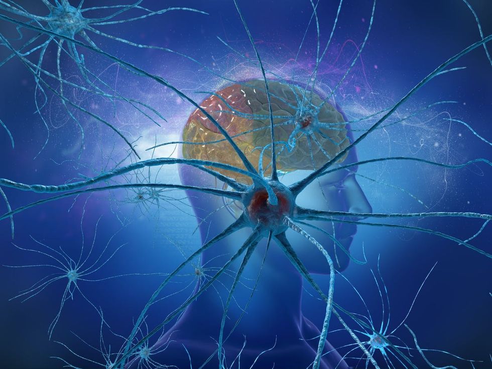 MIT Attention Control PRESS