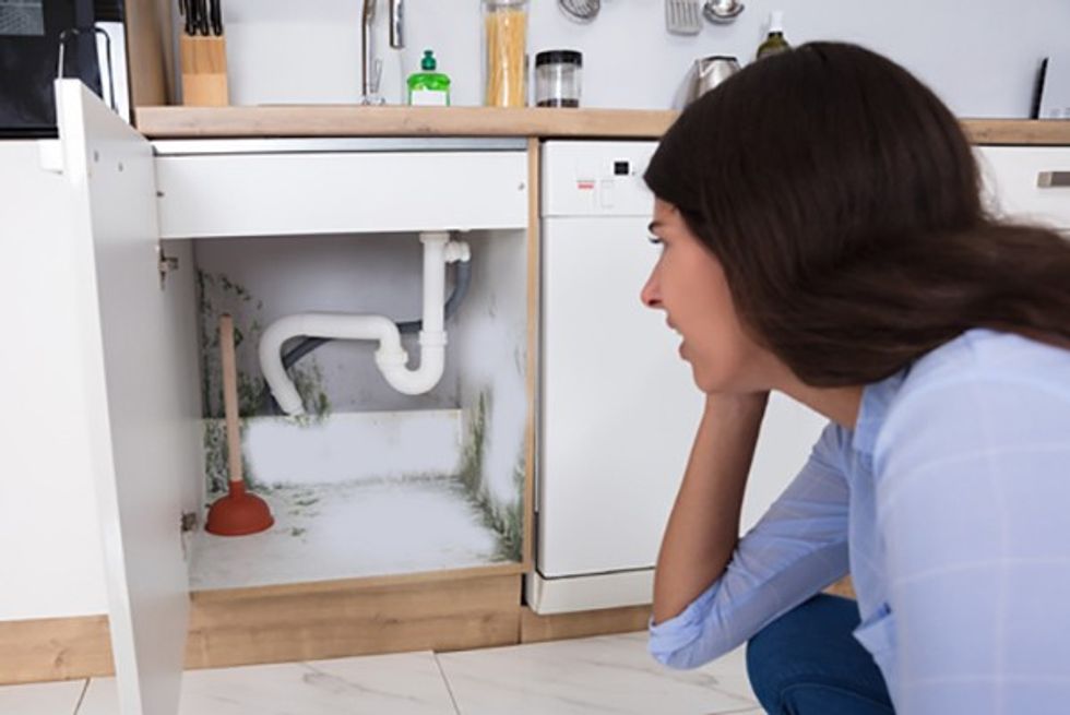 mold under kitchen sink