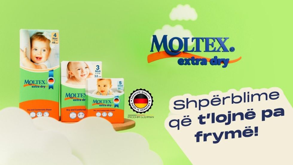 Moltex Telegrafi Banner artikulli 05