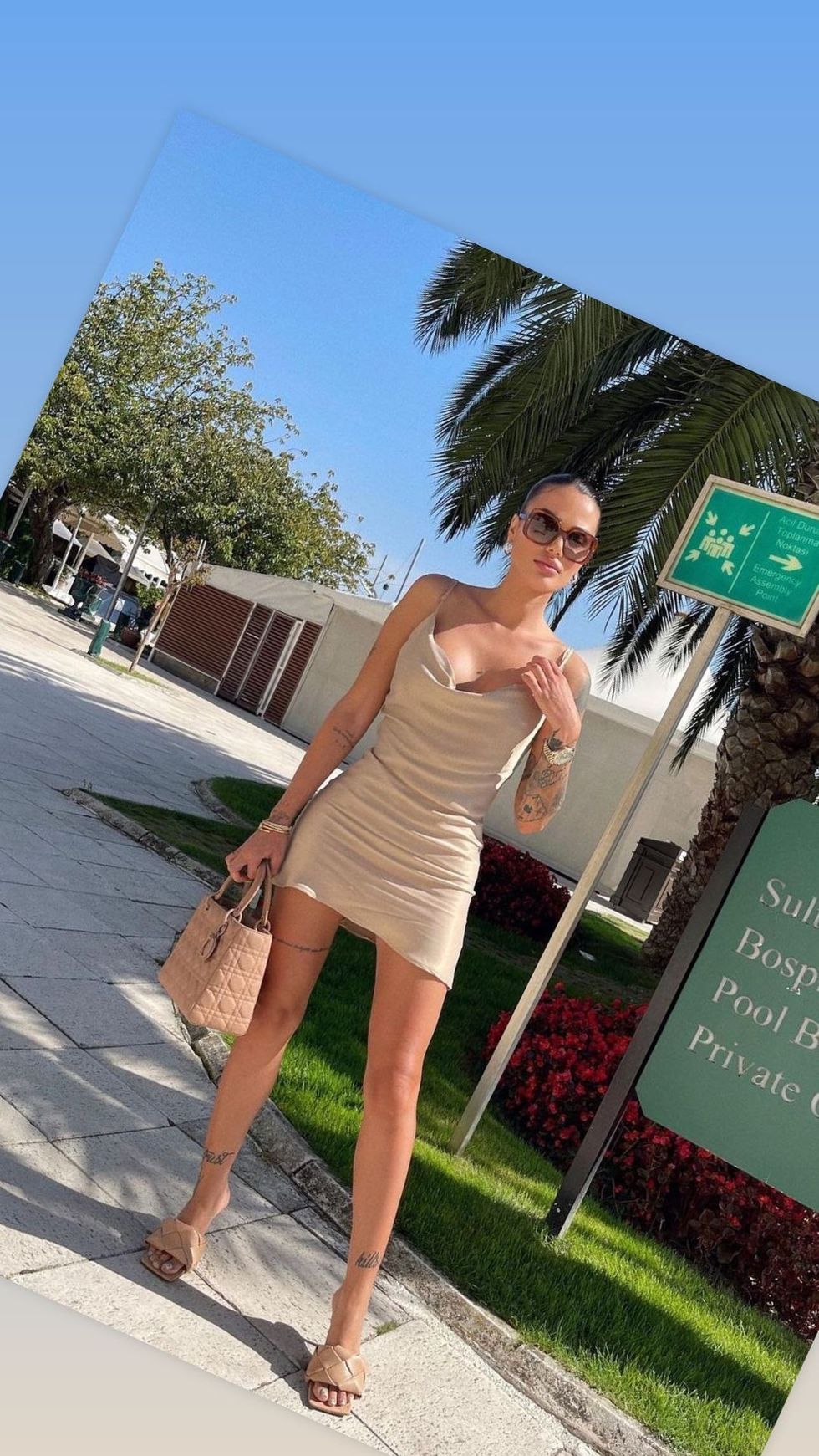 morenataraku 248273006 135330005502281 6074327311902517927 n