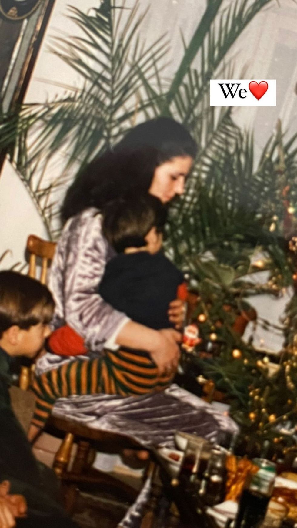 morenataraku 268876307 1257930644703803 7224438072031537430 n