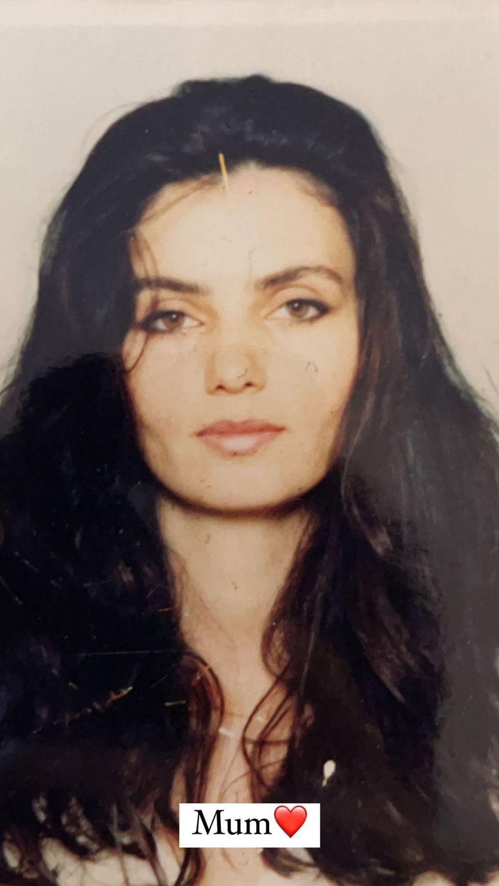 morenataraku 269049674 662801038466712 1071096765556105175 n