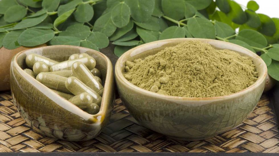 moringa oleifera powder and capsules