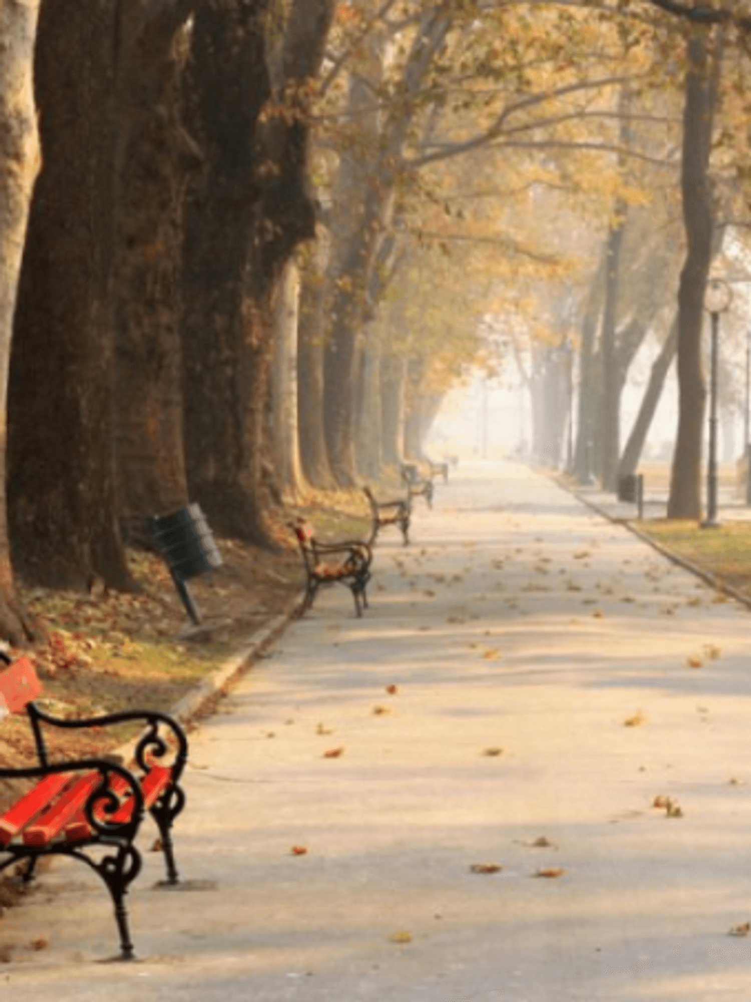 Moti sot në Maqedoninë Veriut Moti sot në Maqedoninë Veriut