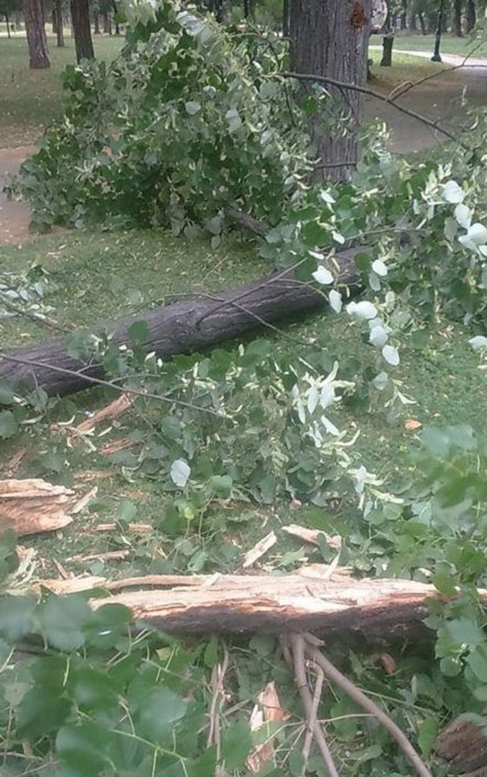 Moti i lige me deme ne Shkup 1