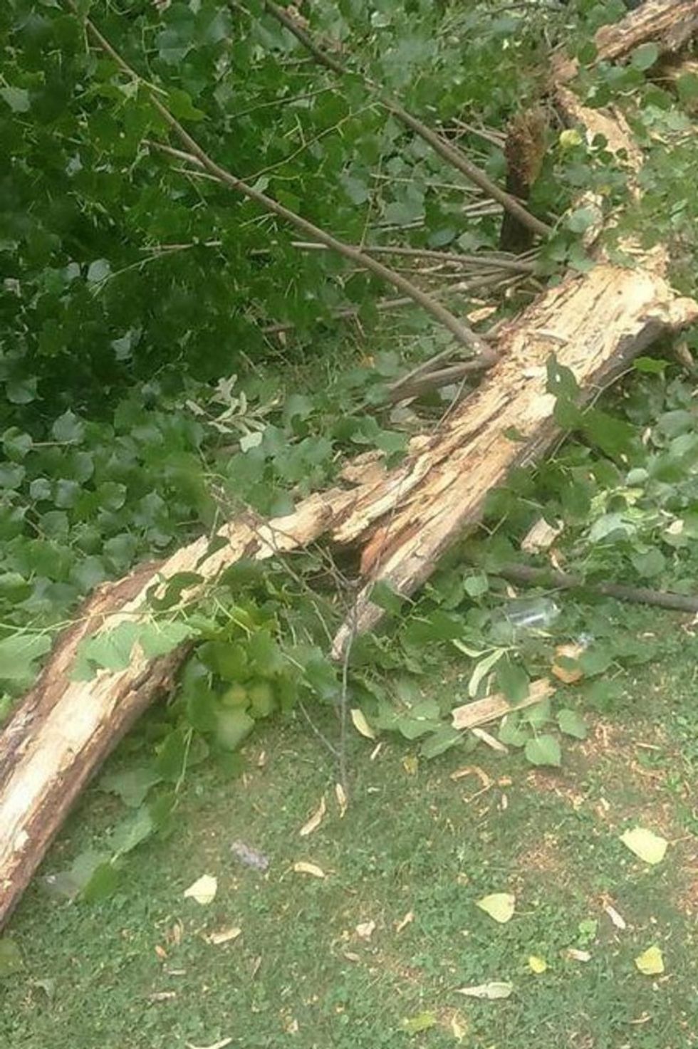 Moti i lige me deme ne Shkup 2