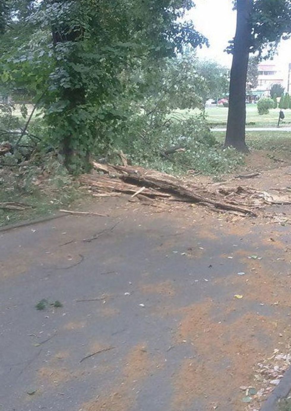 Moti i lige me deme ne Shkup 3