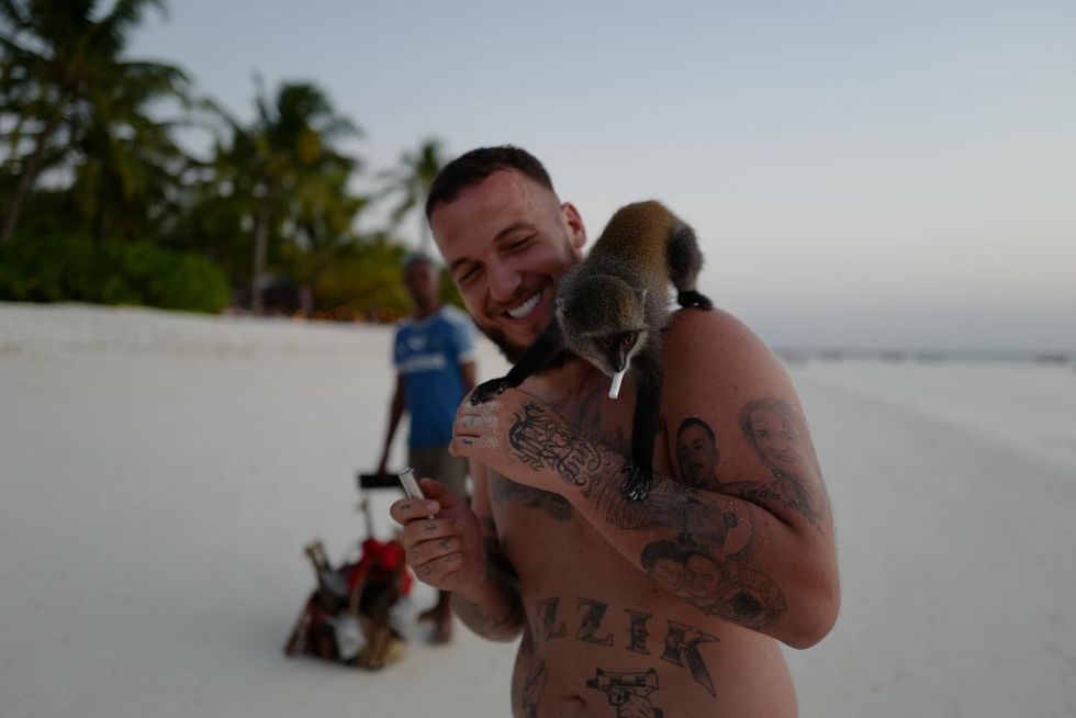 mozzik 1717761090 3385147840354861507 728904105