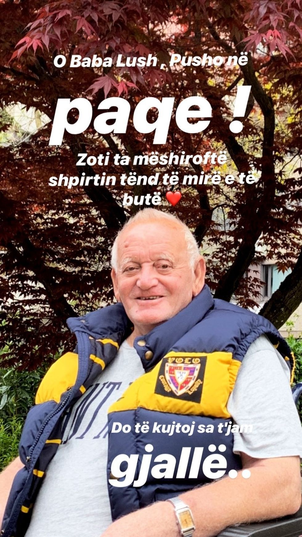 mozzik 61709442 638043663336670 1538287978270920525 n