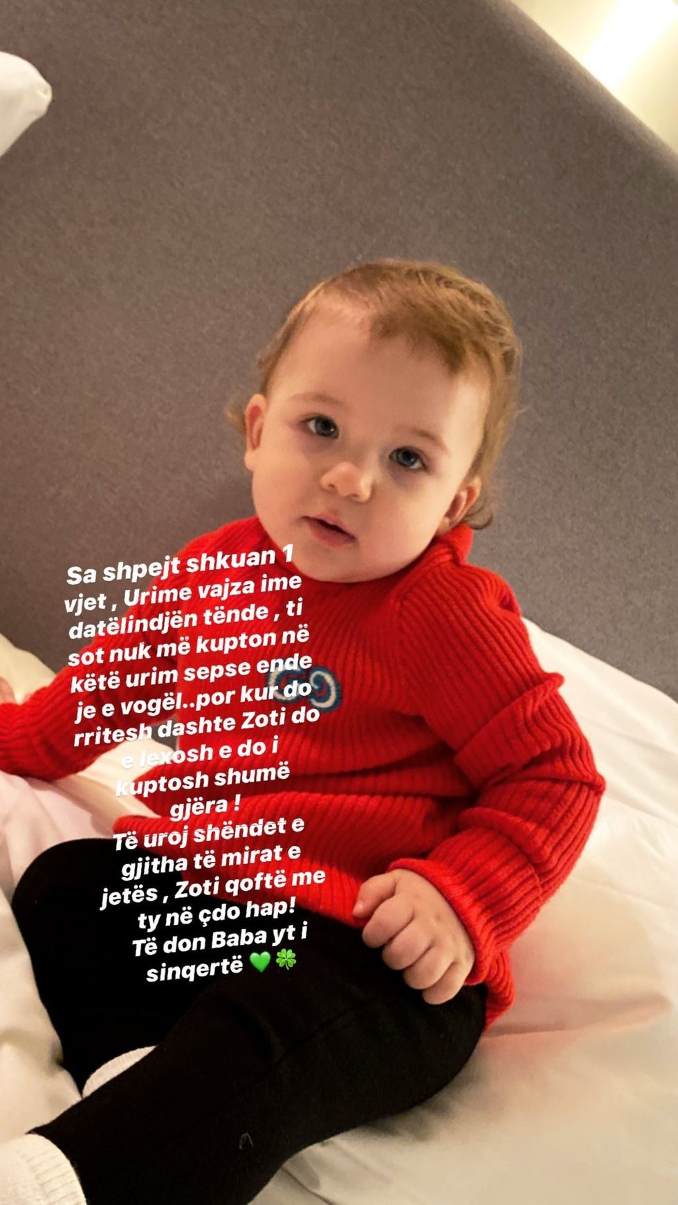 mozzik 69386946 134007621379916 1412897744924483255 n 1