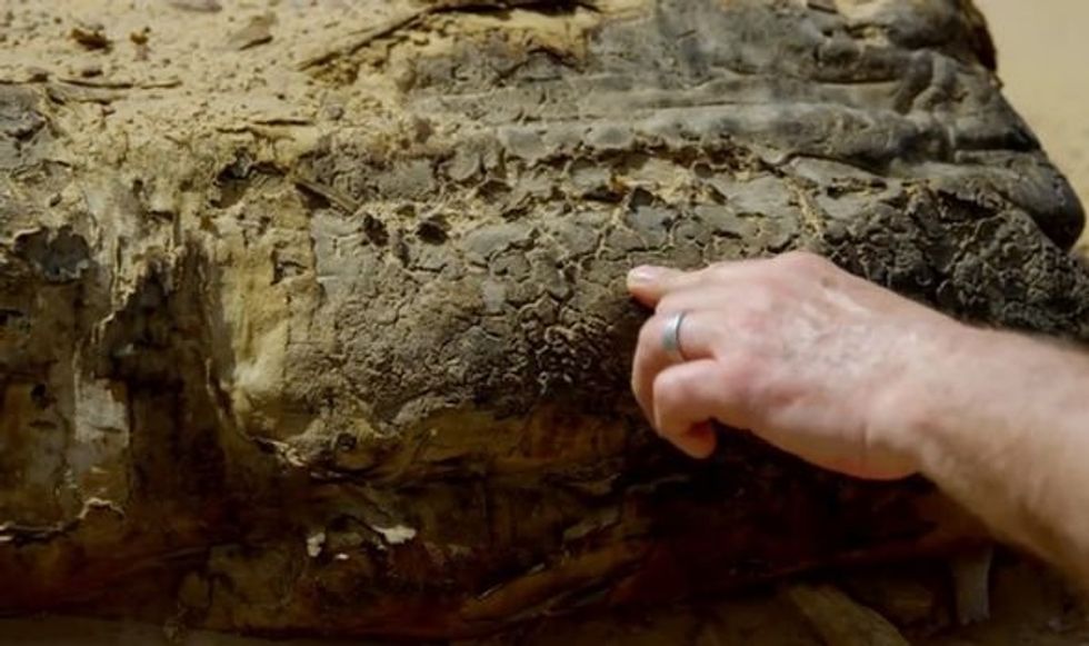 Mr Robinson described its texture 2205059