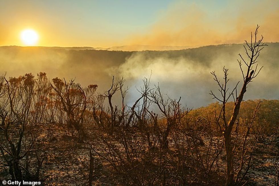 Ms Thunberg said she hopes coronavirus will open up the discussion about deaths caused by climate change, such as the thousands who die prematurely in London every year due to air pollution