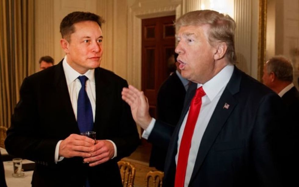 musk trump 1