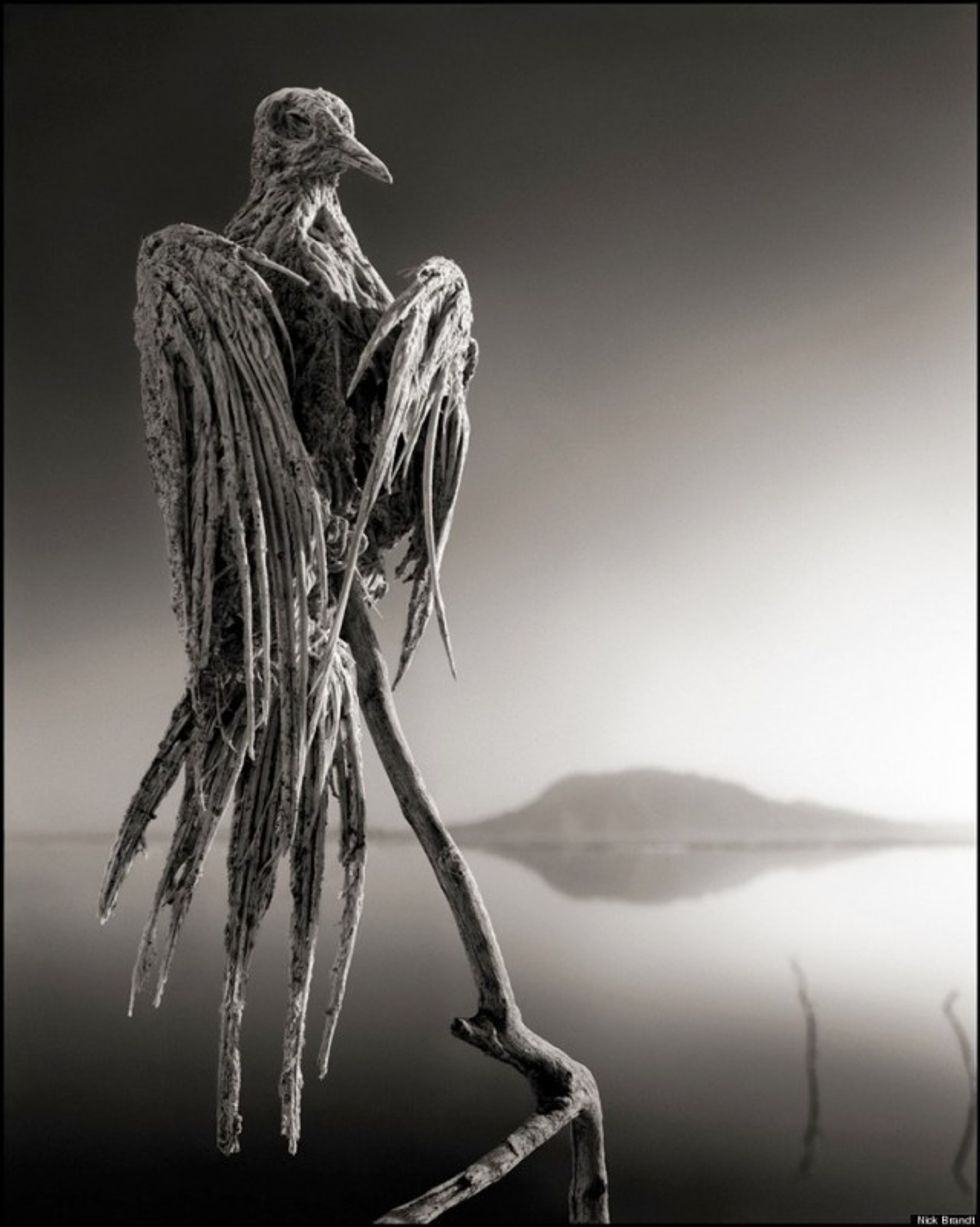 natron03