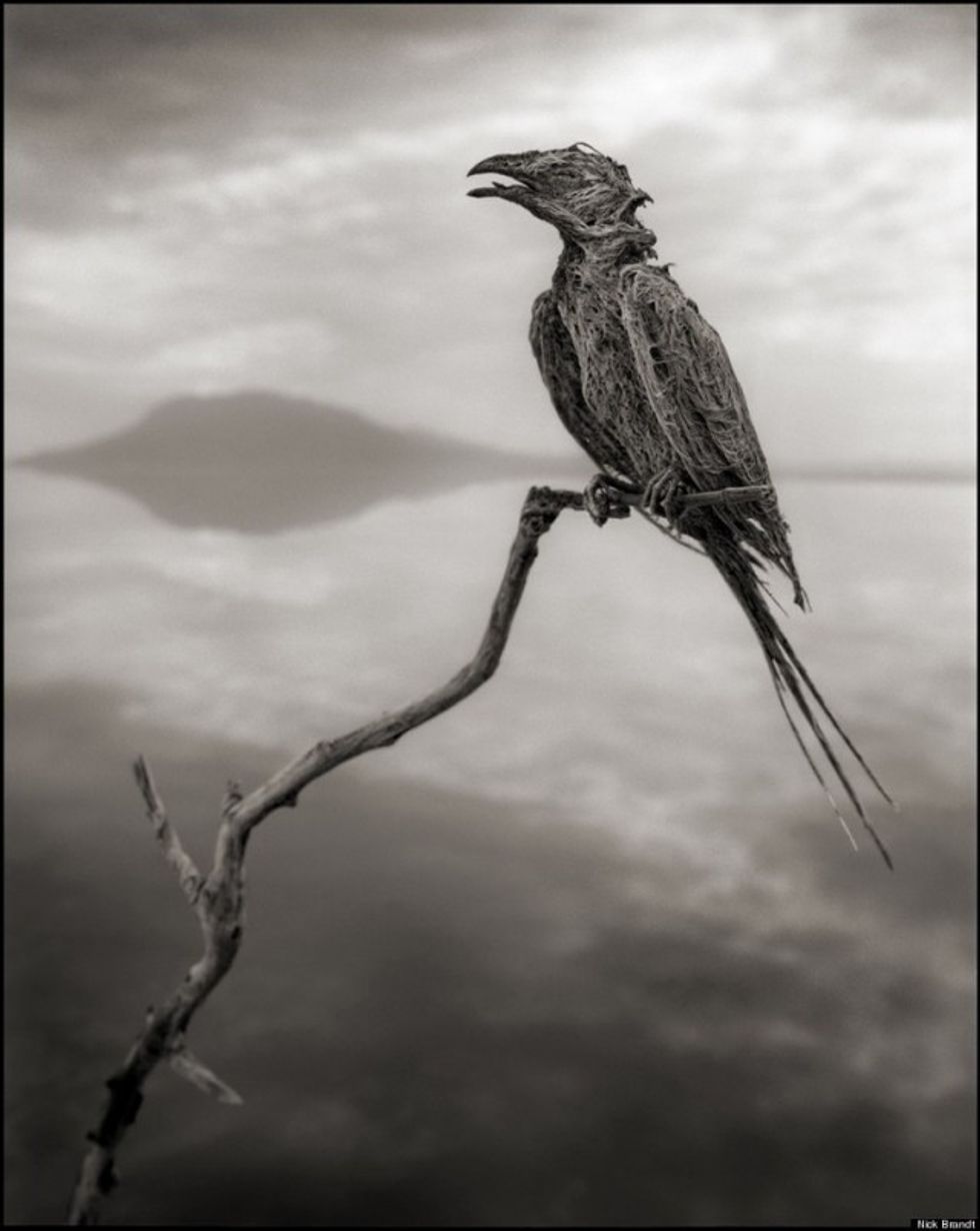 natron05