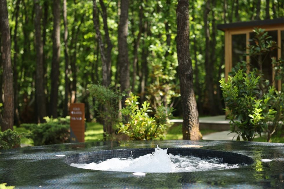 Natural Pool Spa 1 1 12