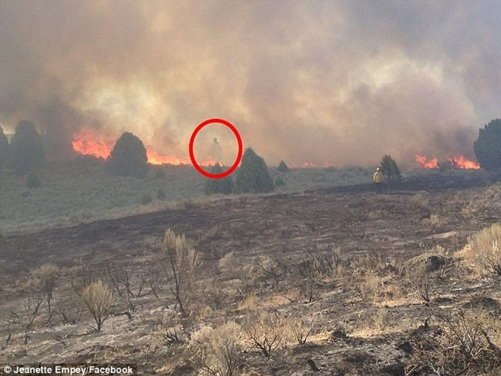 Në malin që ishte përfshirë nga flakët shfaqet engjelli mbrojtes i zjarrfikesve foto 2