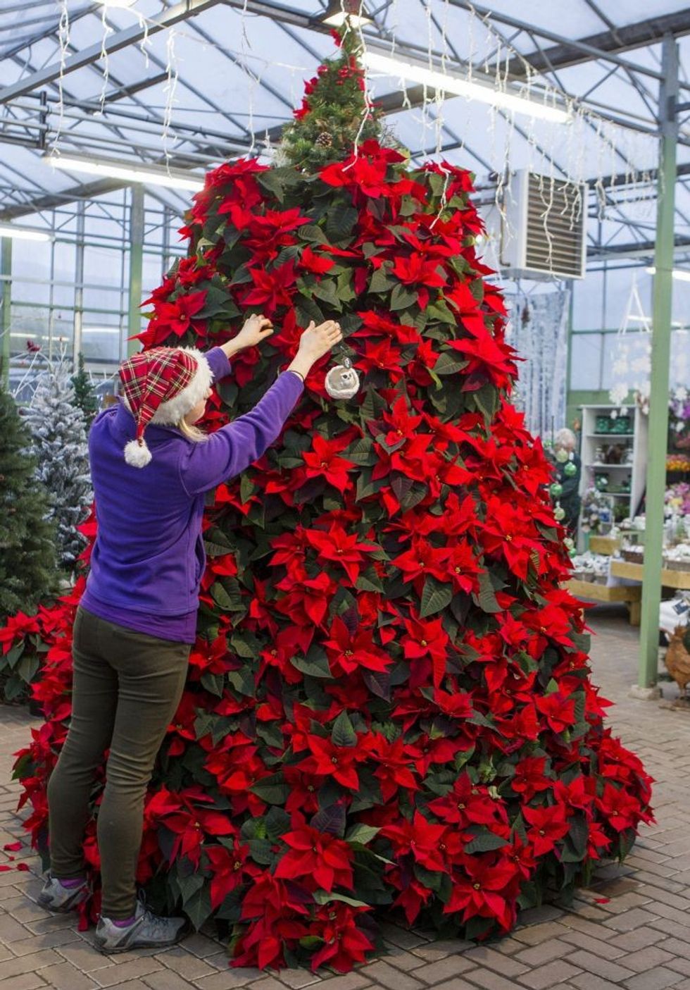 Në mungesë të bredhit mund te shfrytezoni keto ide alternative foto 3