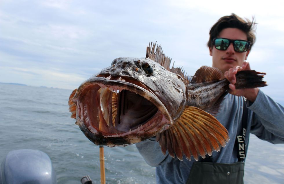 neah bay lingcod fishing