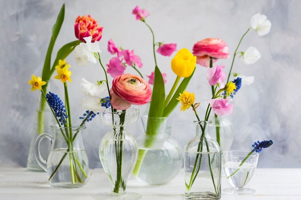 need to know about flower food getty 0523 6ddec05d17b64295b1b7ee89c90e3f4f