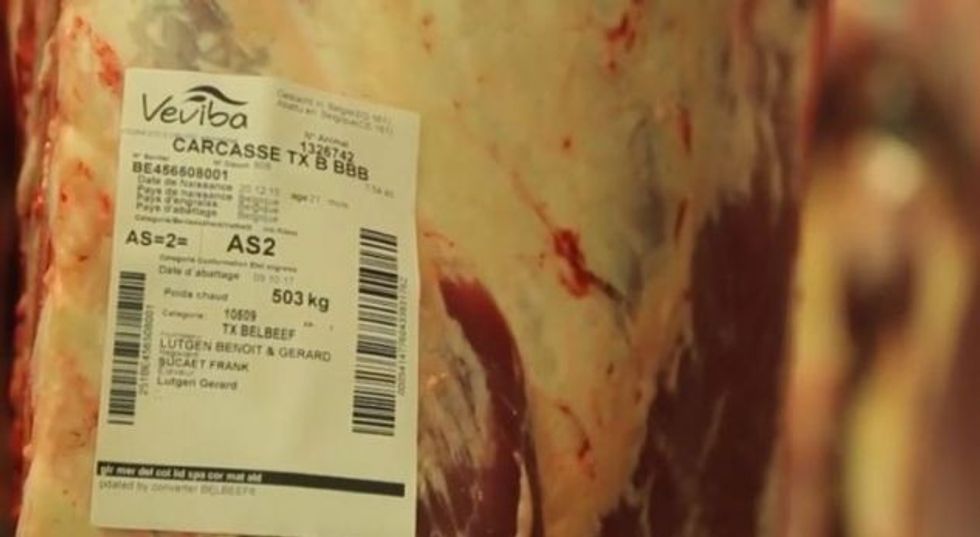 ner 1520714899 5632782