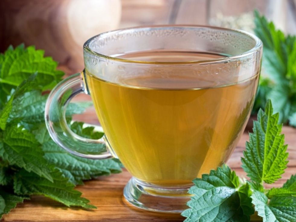 nettle tea for hair