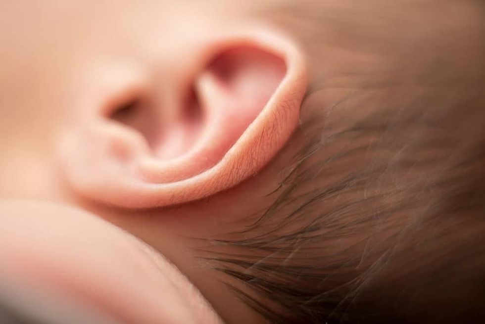 newborn ear 1