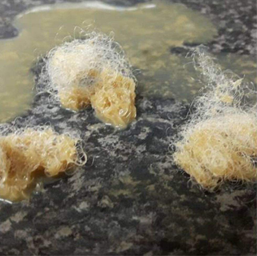 Nga qumështi i ambalazhuar dolën shtëllunga flokësh foto 2