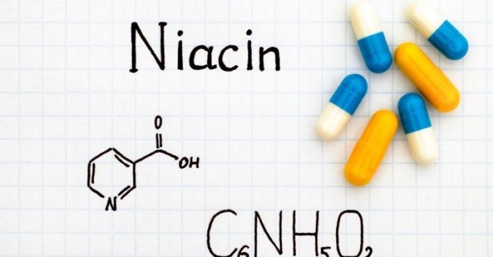 niacin vitamin b3 benefits
