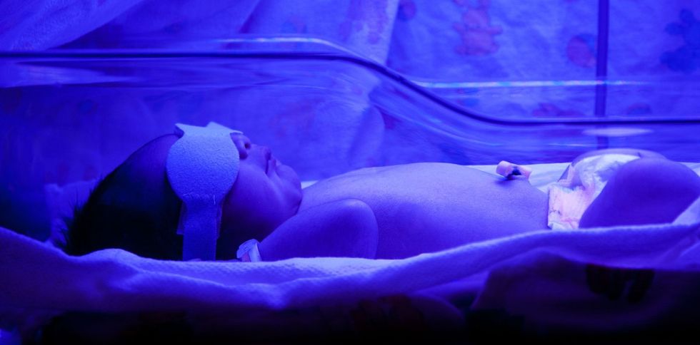 nintchdbpict000261277261