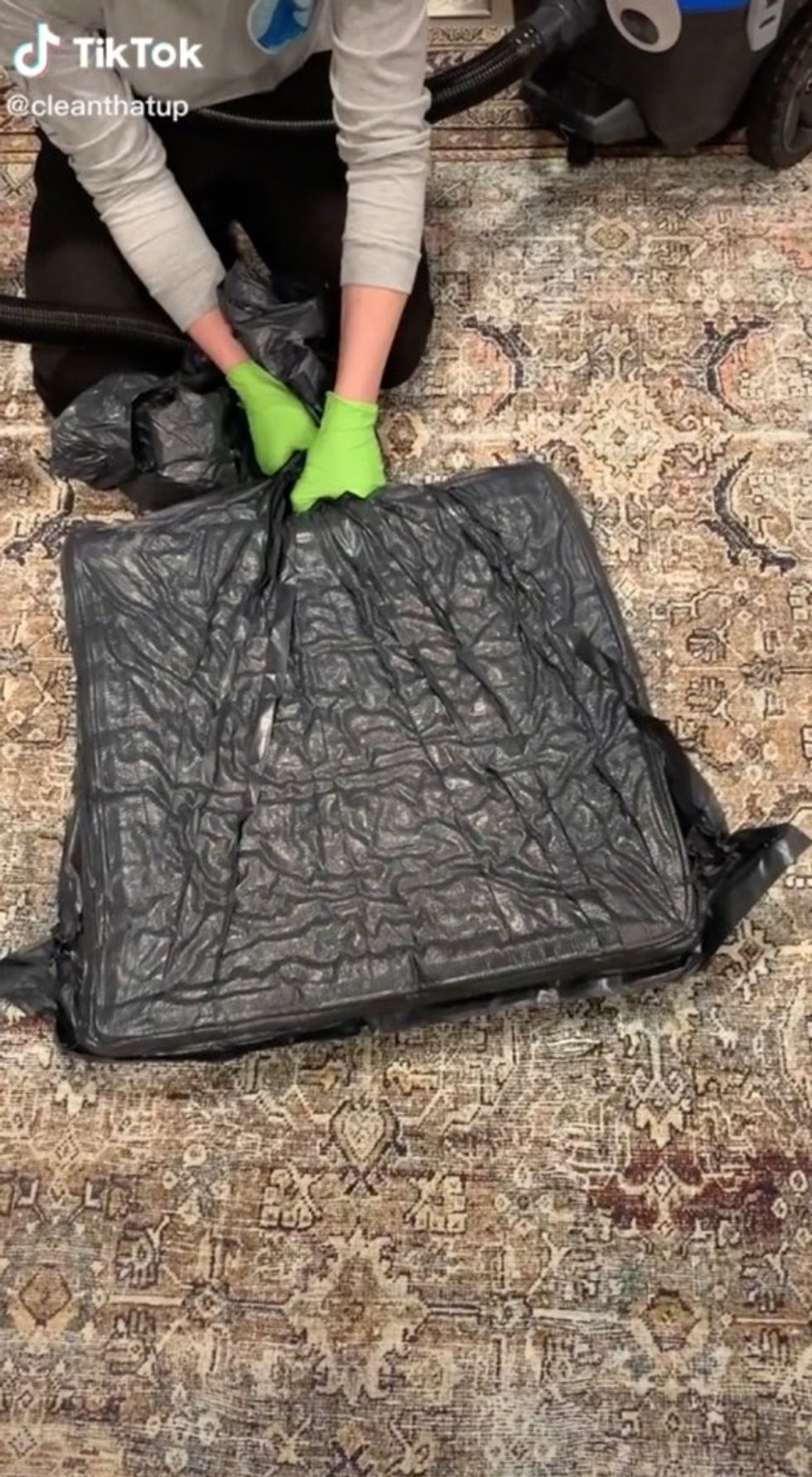 NINTCHDBPICT000692565664