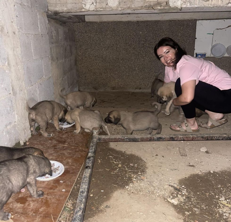 Nita Krajku aktiviste per te drejtat e kafsheve ne Prizren