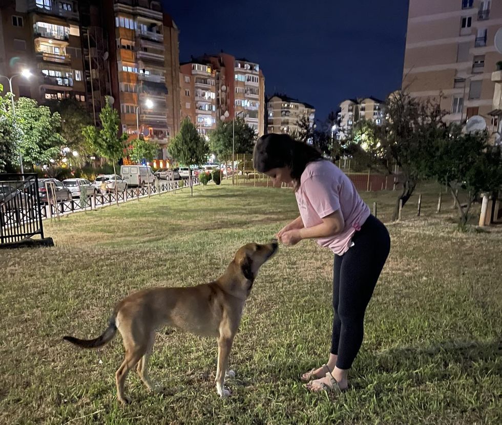 Nita Krajku aktiviste te drejtat e kafsheve Prizren