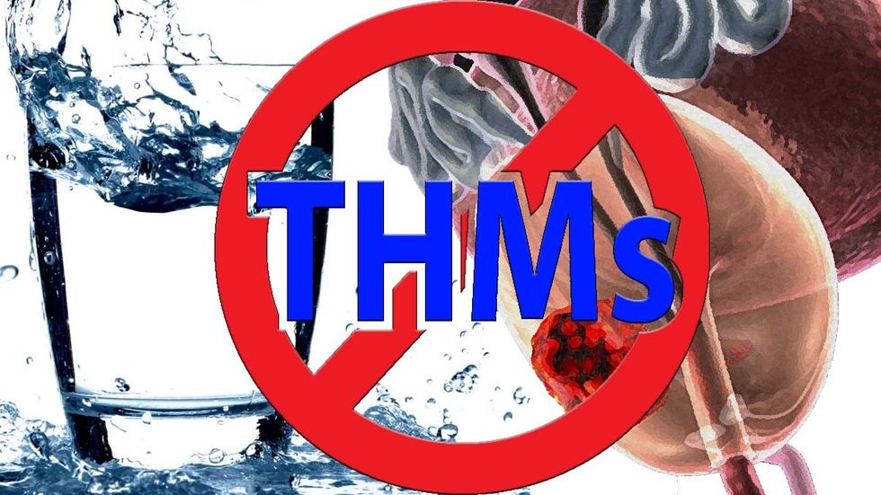 nitrate and THMs in drinking water