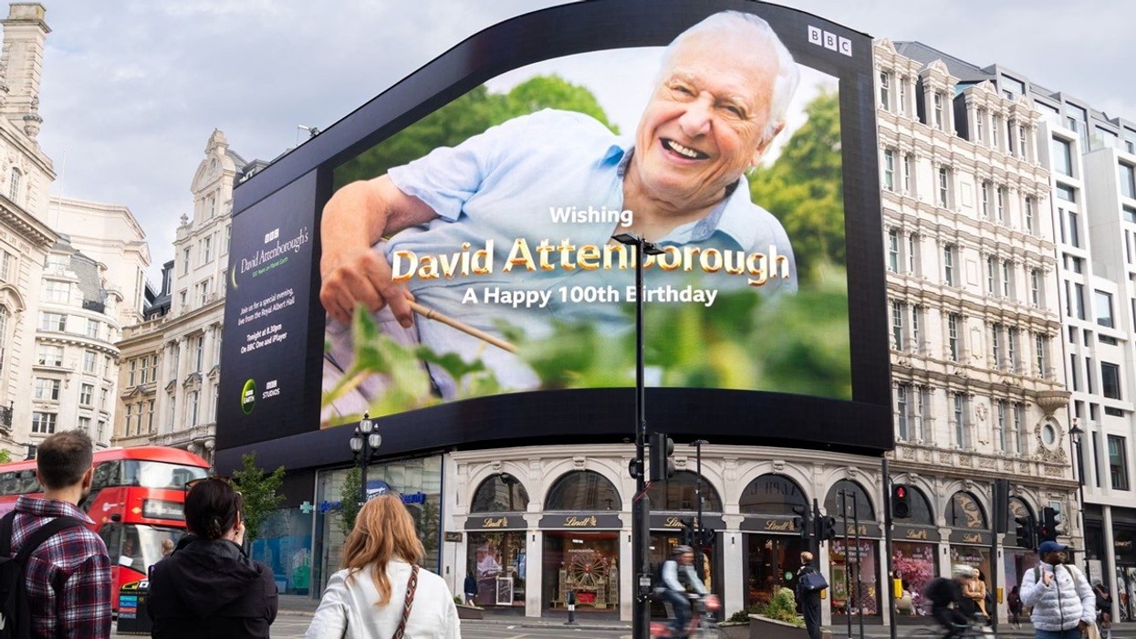 David Attenborough nuk është vetëm thesar kombëtar, është gjithashtu personi më radikal në televizion
