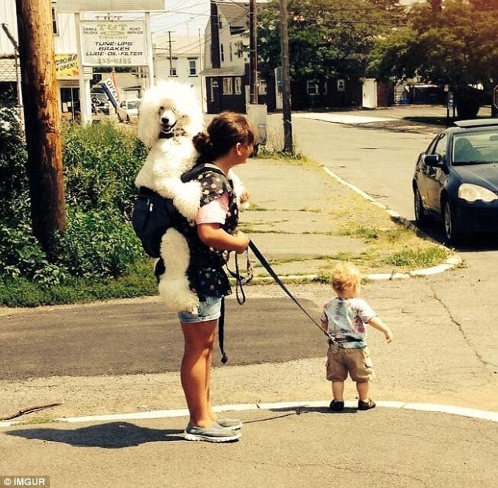 Njerëzit qesharak që vepruan krejtësisht kundër logjikës foto 4