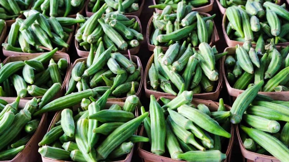 okra health benefits feature
