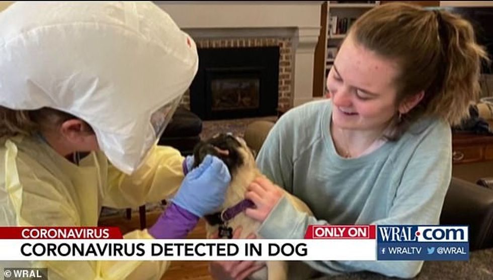 On April 1, researchers from Duke went to the family's home to take mouth swabs from them and from their pets