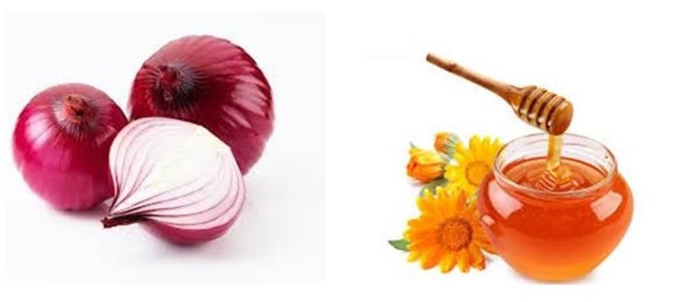 onions-and-honey