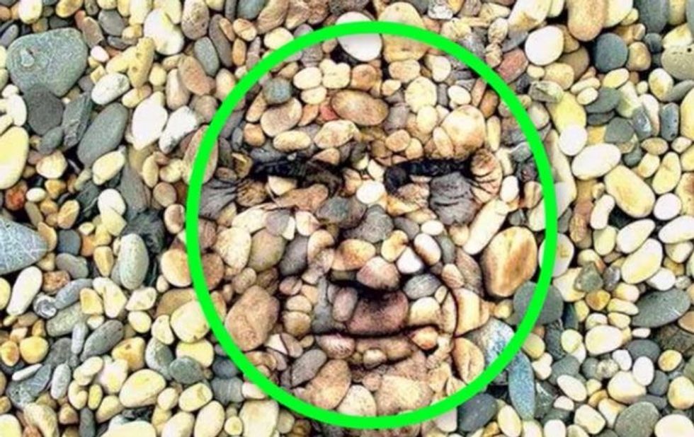 only a few people can find the human face in this fascinating picture2 1