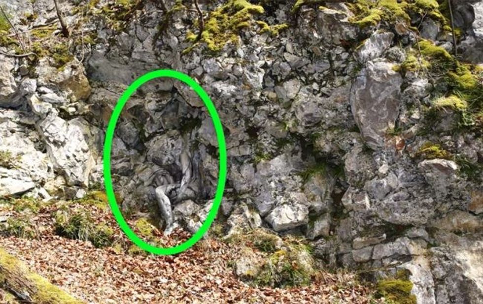 only a few people can find the human face in this fascinating picture4 1