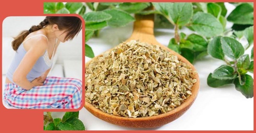 Oregano More than Just Pizza Herb