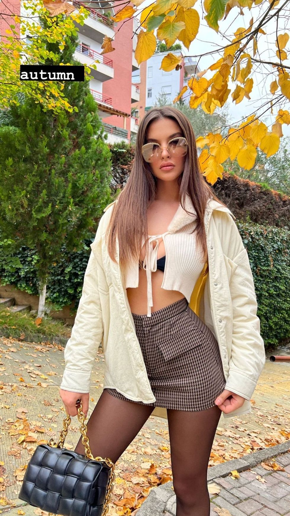 oriolamarashi 253345916 466588108101757 4366945127485059219 n