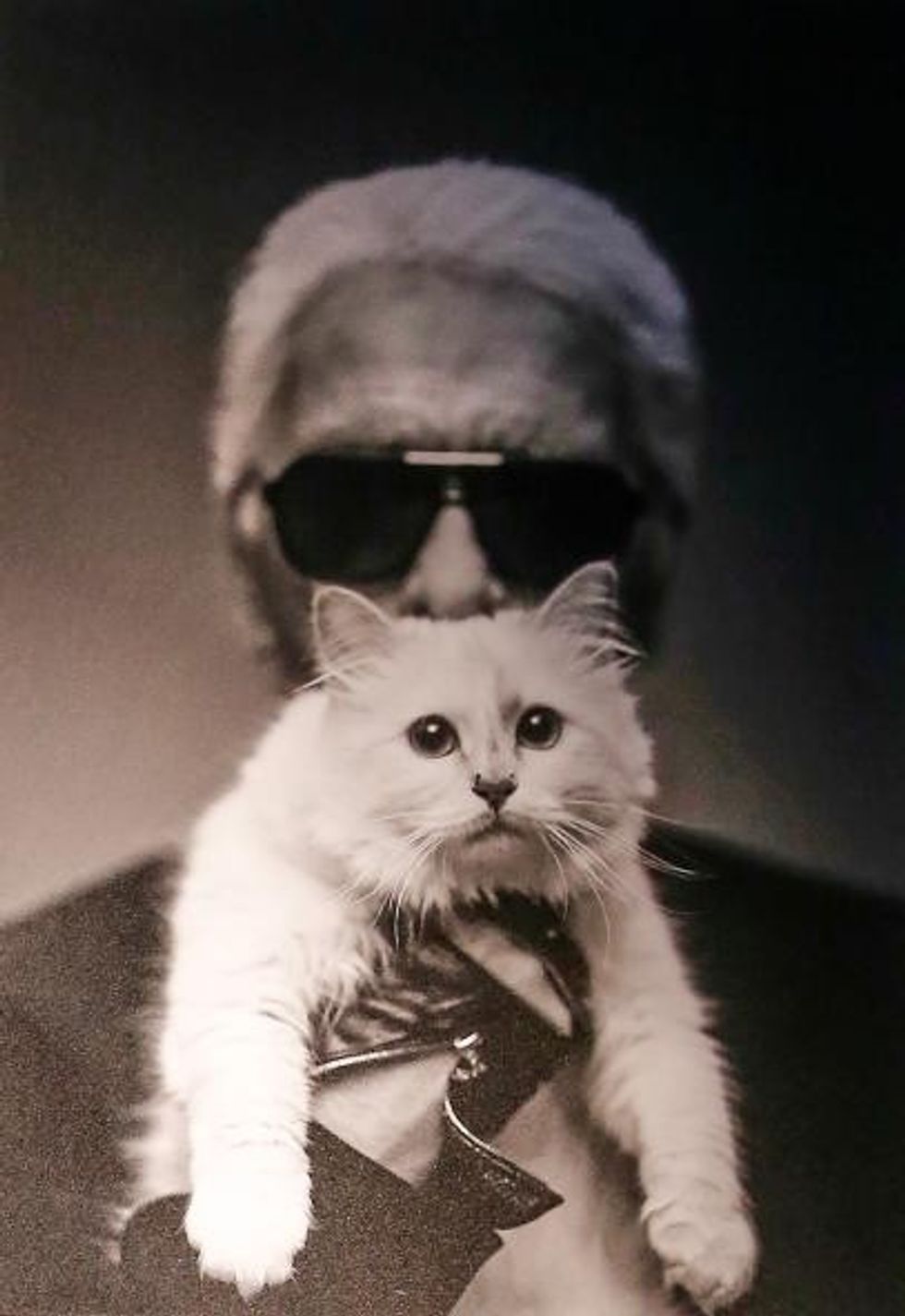 Overview about the 'Corsa Karl Und Choupette' Vernissage on February 03, 2015 in Berlin, Germany.