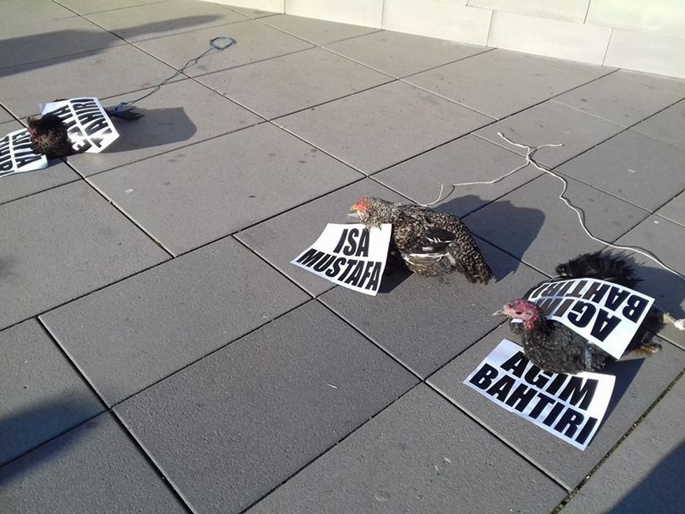 p 1482238671 8738138