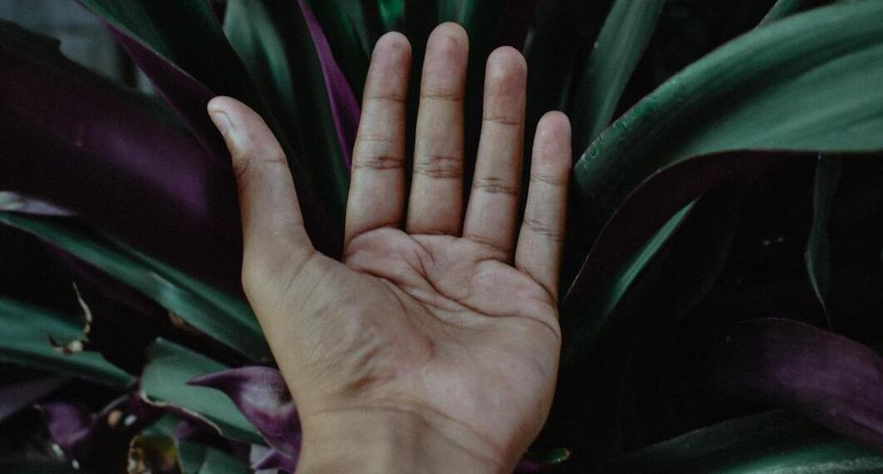 palms lines hands0317 41e2b5d5819e4386afc6dad75ccc4107