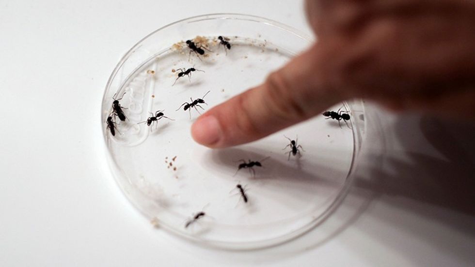 panama health virus science research